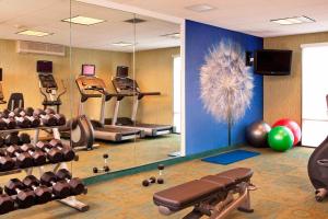 皮博迪波士顿皮博迪春山套房酒店的健身房,里面设有许多健身器材