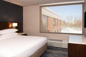 罗缪勒斯底特律大都会机场三角洲酒店的酒店客房设有一张床和一个大窗户