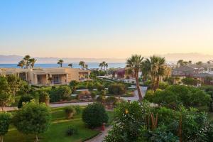 赫尔格达索马湾喜来登度假酒店的享有棕榈树和房屋公园的景致。