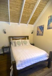 卡沃罗霍Blue House Joyuda的一间卧室设有一张木天花板床。