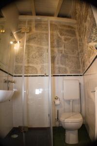 瓦莱迪坎布拉Casas dos Avos的带淋浴、卫生间和盥洗盆的浴室