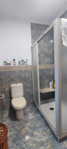 拉斯弗拉瓜斯Casa Angela的一间带卫生间和淋浴的浴室
