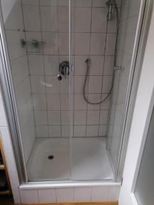 维尔茨堡stilvolle Wohnung direkt in der City的浴室里设有玻璃门淋浴