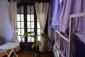 蒙得维的亚Youki Haus Hostel的紫色窗帘和窗户的房间里的一种植物