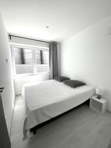 什图罗沃MG Apartments Štúrovo的白色卧室设有一张大床和两个窗户