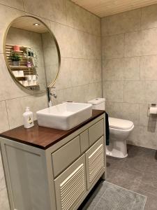 拉纳肯Het Zenhuisje的一间带水槽、镜子和卫生间的浴室
