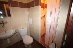 俄斯特拉发杜姆阿里欧酒店的一间带卫生间和水槽的浴室
