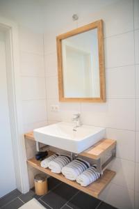 斯拉德明Planaiblick-Lodge Schladming的浴室配有盥洗盆、镜子和毛巾