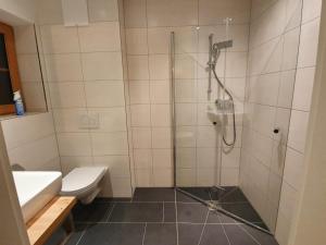 斯拉德明Planaiblick-Lodge Schladming的带淋浴、卫生间和盥洗盆的浴室