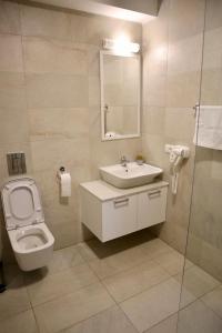 奥赫里德PS Apartments的一间带卫生间、水槽和镜子的浴室