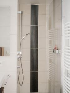 埃希特纳赫Appartement Meyer-Ernzen的带淋浴的浴室和玻璃门