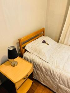 圣地亚哥Guest House GAAM Las Condes的一间卧室配有一张床和一张带台灯的桌子