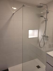 梅斯Les oursins-appartement 3pièces, 4 couchages et parking gratuit的浴室里设有玻璃门淋浴