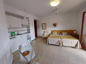 滨海托萨艾尔索尔公寓的酒店客房带一张床和一个厨房