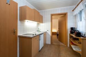 于克里茨Haus 1的一个带水槽和柜台的小厨房