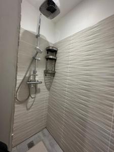 巴涅尔德比戈尔Appartement spacieux - proche centre et therme的带淋浴的浴室内的淋浴间