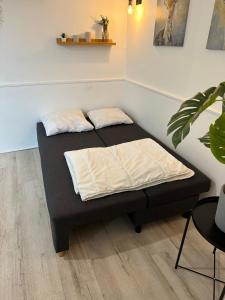 巴涅尔德比戈尔Appartement spacieux - proche centre et therme的一张床上有两个枕头的房间