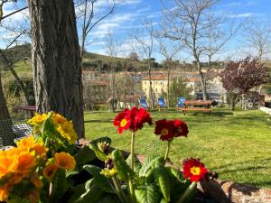 萨兰Appartamento Bellavista的公园里一束五颜六色的鲜花