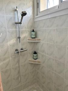 Saint-Jean-de-ThuracLa Maison des Eaux的浴室内配有淋浴和头顶淋浴