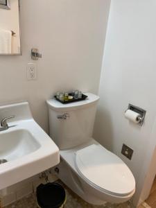 加兹登Sophisticated studio apartment in Gadsden, AL的白色的浴室设有卫生间和水槽。