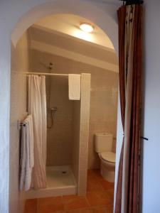 阿里纳斯B&B Casa Agradable的带淋浴和卫生间的浴室