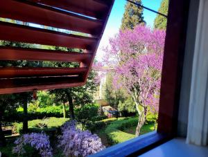 佛罗伦萨纳迪别墅迪颇卡公寓酒店的紫色树木花园美景窗户