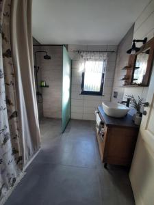 House Na Starom Kućištu的一间带水槽、镜子和淋浴的浴室