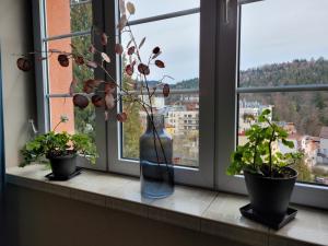 克雷尼察Zajazd Meran的花瓶坐在窗台上,有三个盆栽植物