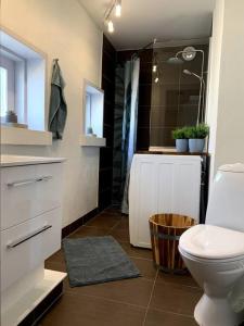 HårlevHus på 100 m2 ved skov的浴室配有卫生间、盥洗盆和淋浴。