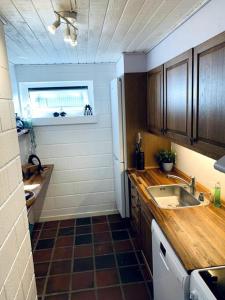 HårlevHus på 100 m2 ved skov的一个带水槽和窗户的小厨房