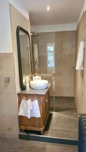 巴特黑雷纳尔布Villa Johanna的一间带水槽和镜子的浴室