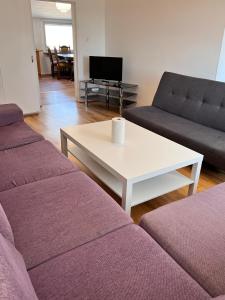 马尔默HBA Appartsments的客厅配有两张沙发和一张咖啡桌