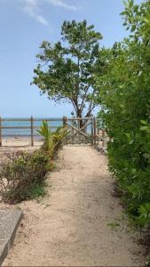 圣安特罗Habitación privada en la playa HappyBeach_co的海滩上木栅栏,树
