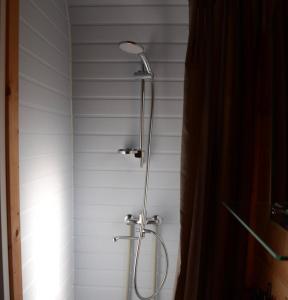 萨拉斯皮尔斯Doles skati的浴室内配有淋浴和头顶淋浴
