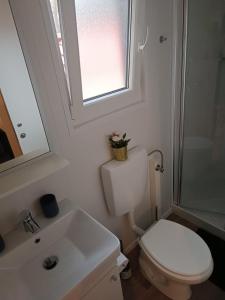 比奥格勒·纳·莫鲁Ana Mobile Home - Kamp Soline - Biograd na Moru的一间带卫生间、水槽和窗户的浴室
