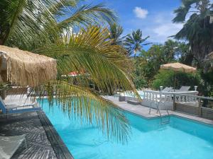 莱斯巴斯Le grand palm gîte tobago的一个带椅子的游泳池,并种植了棕榈树