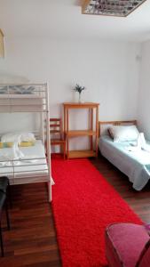 波兹南Willa Tanagra的一间设有两张双层床的客房,铺有红色地毯。