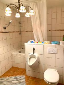 克伦特尼采Penzion Villa Verde Moravia的一间带卫生间和浴缸的浴室