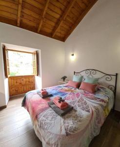 埃尔米瓜Casa Rural Antigua Escuela II的一间卧室,卧室内配有一张大床