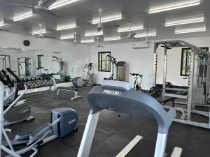 San IsidroTrogon's Perch的健身房设有数台跑步机和机器