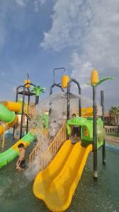 阿哈达منتجع الجزيرة الخضراء的一个带滑梯的游乐场的水上公园