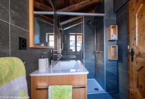 萨斯阿尔马格尔豪泽尔特拉初度假屋的一间带水槽和淋浴的浴室