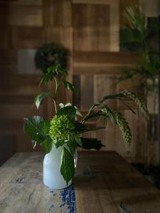 京都六根ゲストハウス Rokkon guest house的一张桌子上白色花瓶中的绿色植物