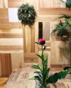 京都六根ゲストハウス Rokkon guest house的木桌上花瓶里的粉红色玫瑰