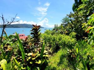 戈尔菲托Casa Mar y Arena的从植物区欣赏到海洋美景