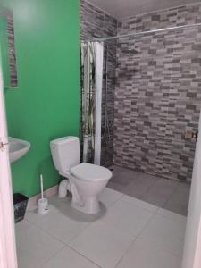 帕皮提Manate hebergement的一间带卫生间和绿色墙壁的浴室