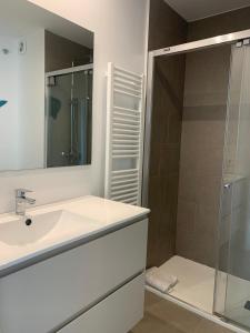 桑特费柳德吉克索尔斯Magnífic apartament a primera línia de mar的一间带水槽和淋浴的浴室