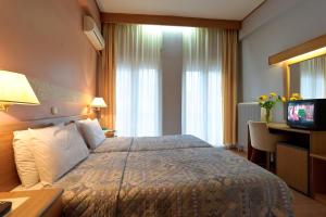 卡斯托里亚阿尼西斯酒店的酒店客房配有一张床、一张书桌和一台电视。