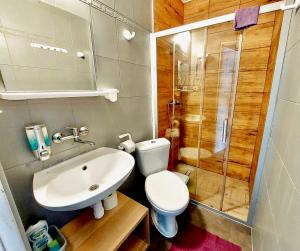 卡尔维亚Dworek Karwia Wiosenna 8的浴室配有卫生间、盥洗盆和淋浴。