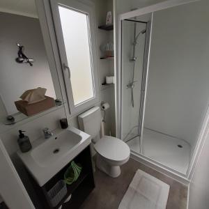 耶泽拉Mobile Homes Albatross的浴室配有卫生间、淋浴和盥洗盆。